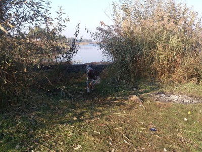 DSC_0381 м.jpg (212.98 КБ) Просмотров: 18499 DSC_0381 м.jpg