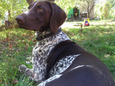 DSC_0233 м.jpg (240.62 КБ) Просмотров: 19849 DSC_0233 м.jpg