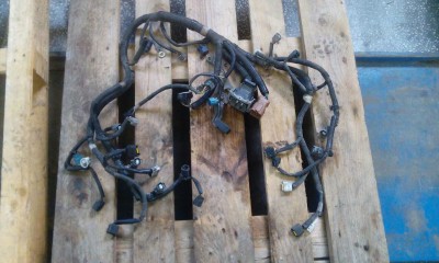 IMG_0264.JPG (195.01 КБ) Просмотров: 819 IMG_0264.JPG