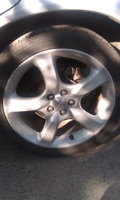 IMAG0025.jpg (555.33 КБ) Просмотров: 991 IMAG0025.jpg