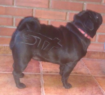 IMAG0558_2.jpg (76.48 КБ) Просмотров: 5672 IMAG0558_2.jpg