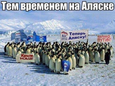 Pu_0006.jpg (57.1 КБ) Просмотров: 5062 Pu_0006.jpg