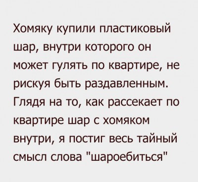 хомяк.jpg (60.57 КБ) Просмотров: 5315 хомяк.jpg